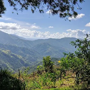 https://lime-tree-farm-blue-mountains.comcaribbean.com